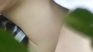அமேசிங் டிட்ஸ் மற்றும் ஆஸ்