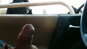பெரிய புஸ்ஸி நெட்