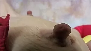 பெண் தசை பாடிபில்டிங் பெண் பாடிபில்டர் லின் மெக்ரோசின் செக்ஸ்