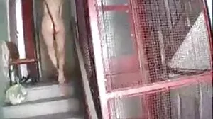குடுத்த வெள்ளை மனைவிகள்