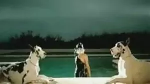 மில்ஃப் மற்றும் பெண் செக்ஸ்