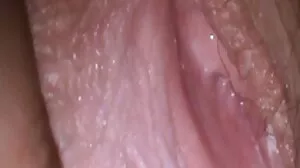 Xxx எஸ் பாலினம்